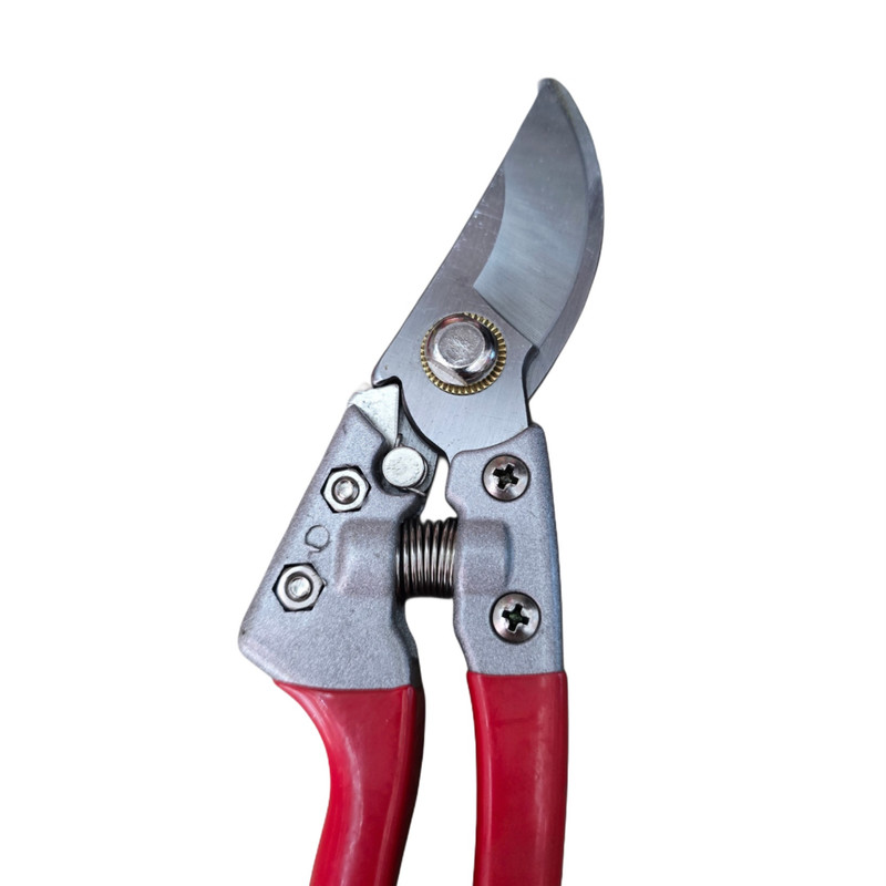 قیچی باغبانی مدل آرس