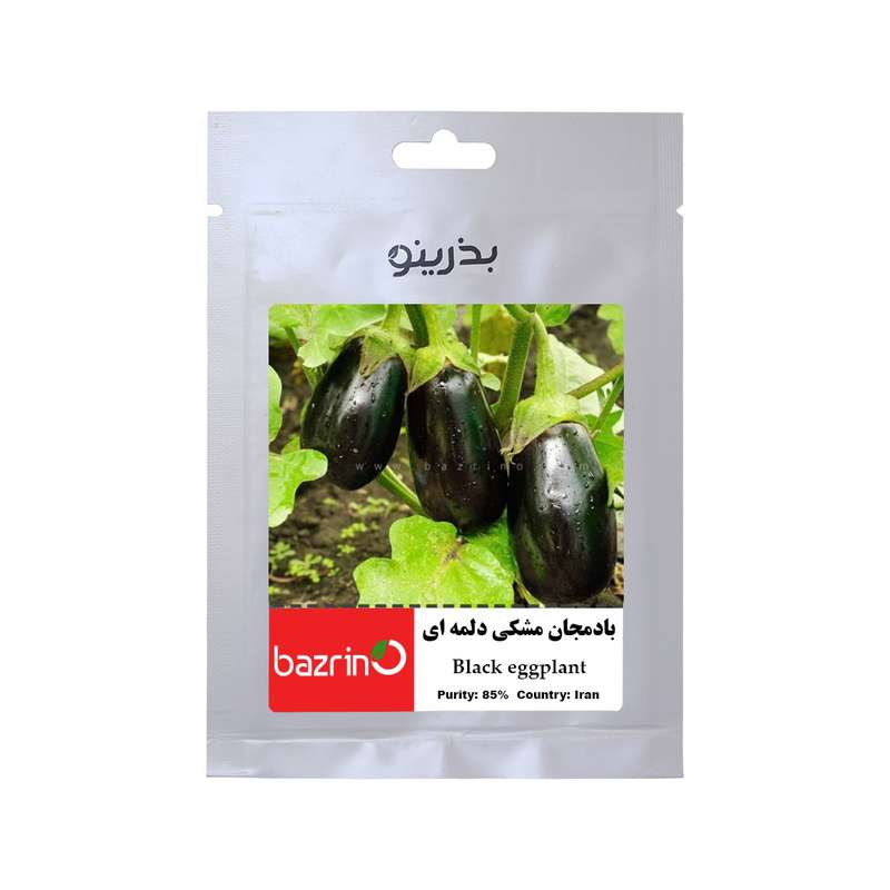 بذر بادمجان مشکی دلمه ای F1 بذرینو کد BZNO-196