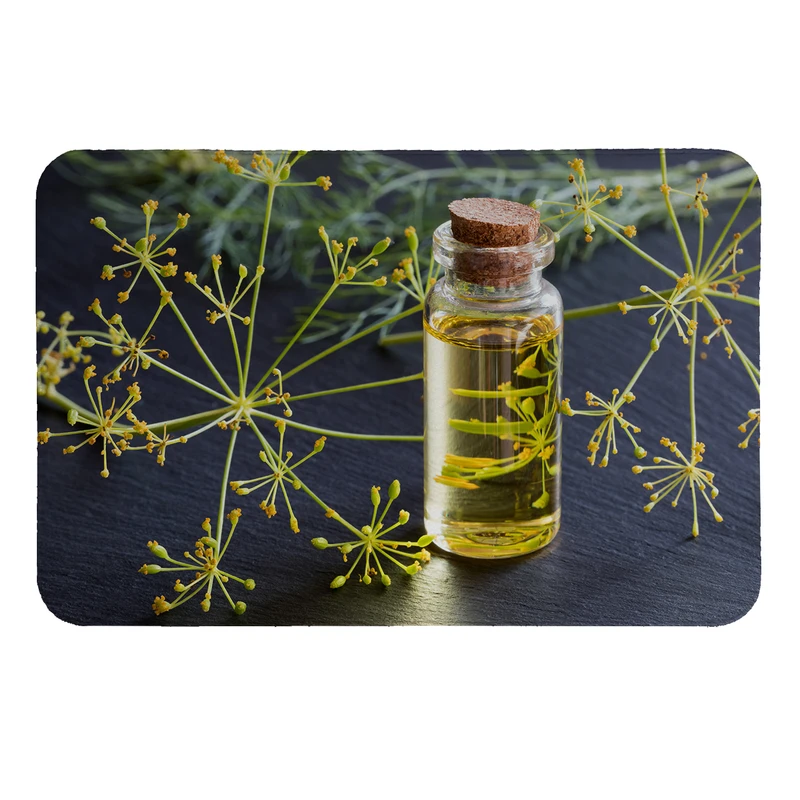 پادری طرح روغن کد 6310 سایز 60 × 40 سانتی متر