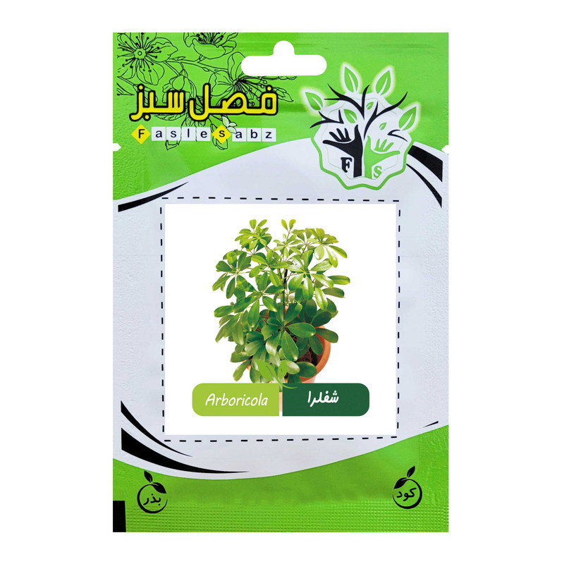 بذر گل شفلرا فصل سبز کد FSSEED-044