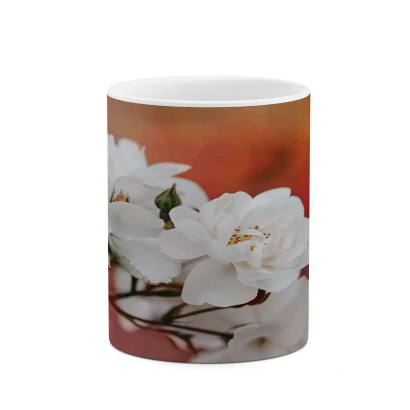 ماگ کاکتی مدل گل کد mgh16894