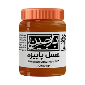 عسل پاییزه عموعطار بارجین _ 700 گرم  