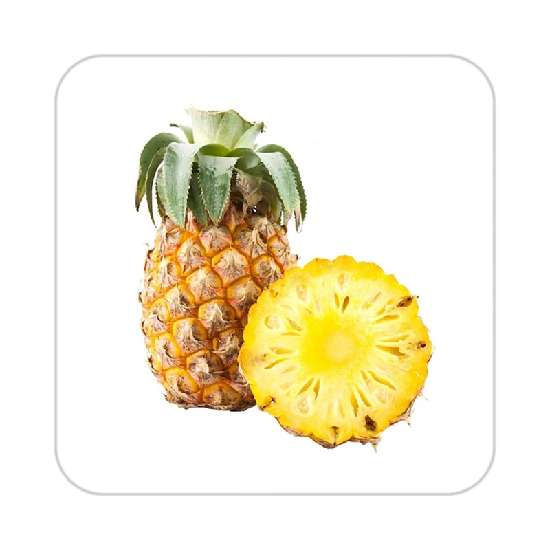 زیر لیوانی کاکتی طرح میوه مدل mp21867