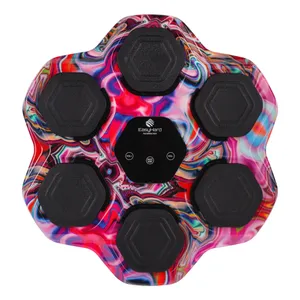 کیسه بوکس موزیکال ایزی هارد مدل PRO04