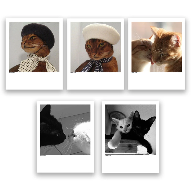 آویز تزیینی عرش مدل فانتزی گربه بامزه کد Asa314 مجموعه پنچ عددی