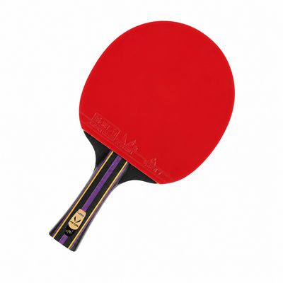 راکت پینگ پنگ لوکی مدل R402
