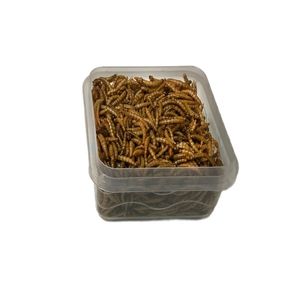 نقد و بررسی غذای پرنده مدل کرم میلورم خشک کد 070 وزن 70 گرم توسط خریداران