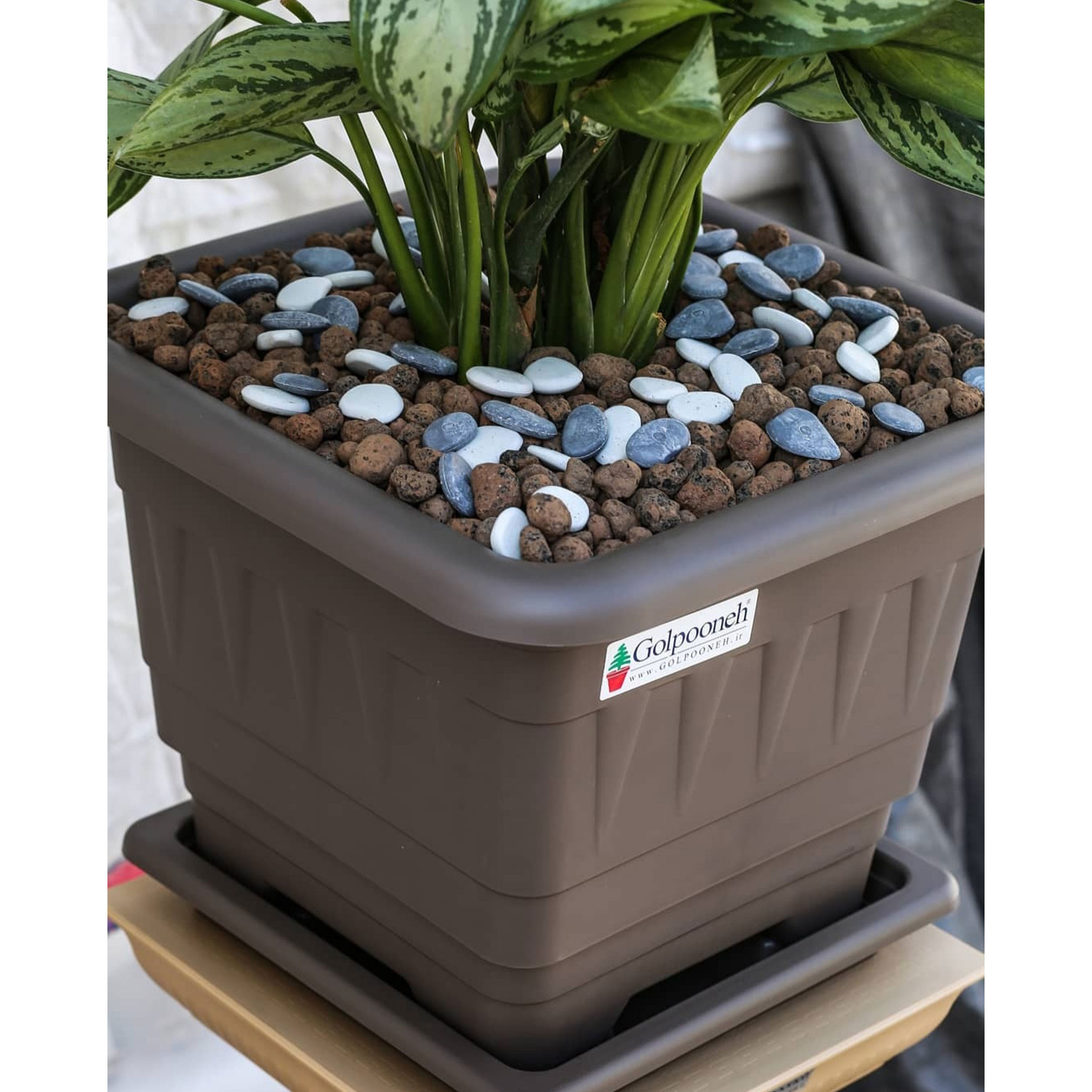 گلدان گلپونه مدل پلاستیکی مربع کد 116