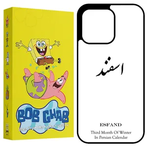BOB Ghab BCP13P Cover For Apple iPhone 13 Pro