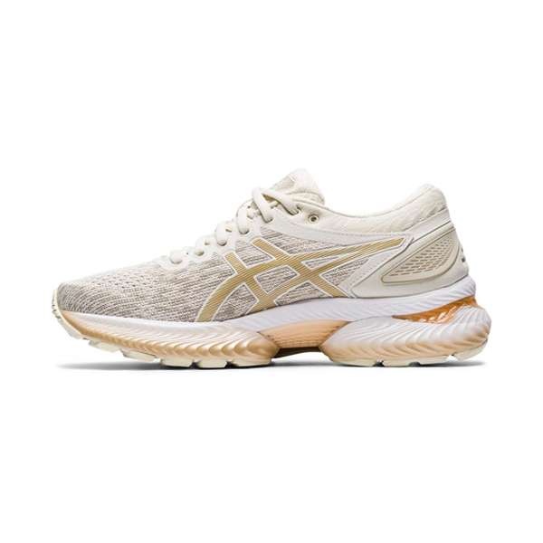 کفش مخصوص دویدن زنانه اسیکس مدل GEL-NIMBUS 22 KNIT