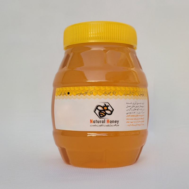 عسل گون کوهی سمیرم- 1000 گرم