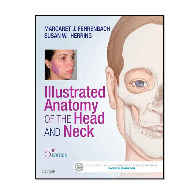 کتاب ILLUSTRATED ANATOMY OF THE HEAD AND NECK اثر Margaret J. Fehrenbach and Susan W. Herring انتشارات مؤلفین طلایی