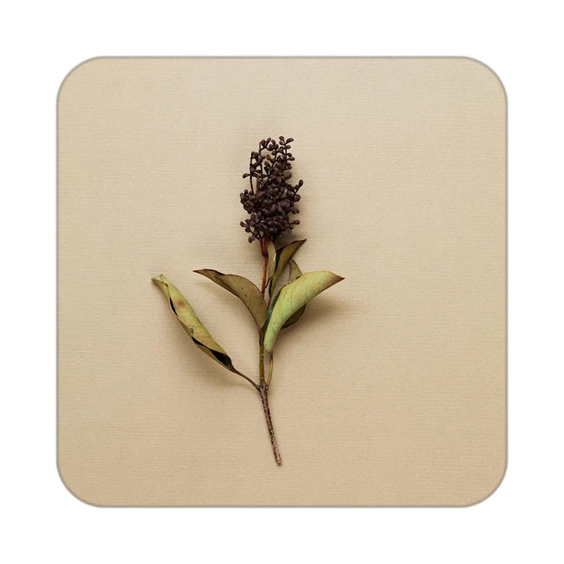 زیر لیوانی کاکتی طرح گل مدل mp17198