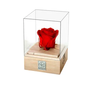 جعبه موزیکال مدل ROZ-01 کد 147648