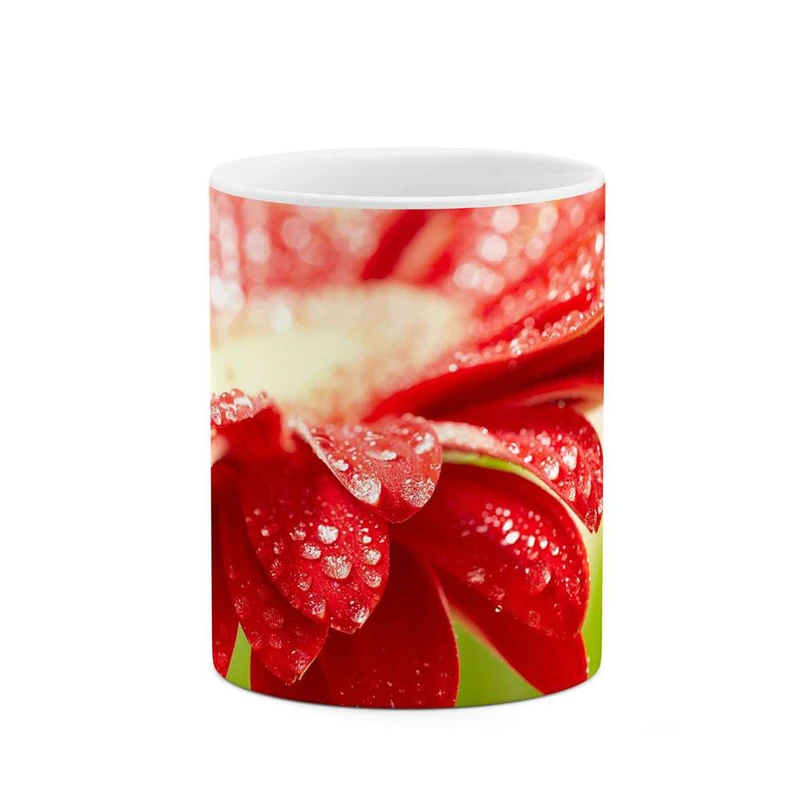 ماگ کاکتی مدل گل کد mgh12044