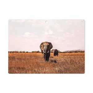 MAHOOT Elephant Cover Sticker for Lenovo Miix 320 2017