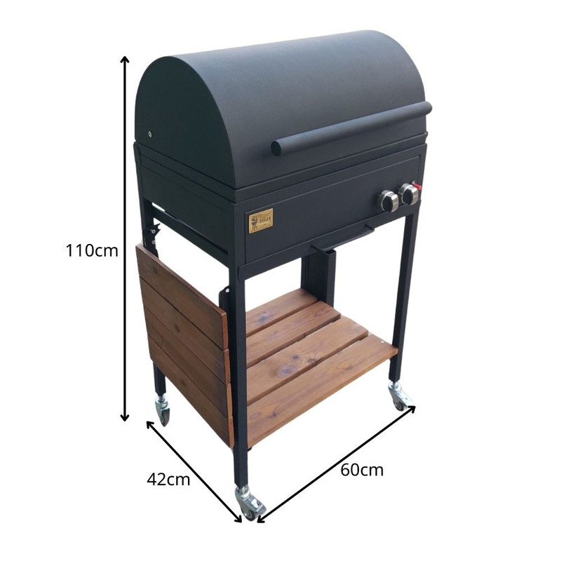 باربیکیو اصلان مدل M60 گازی ذغالی