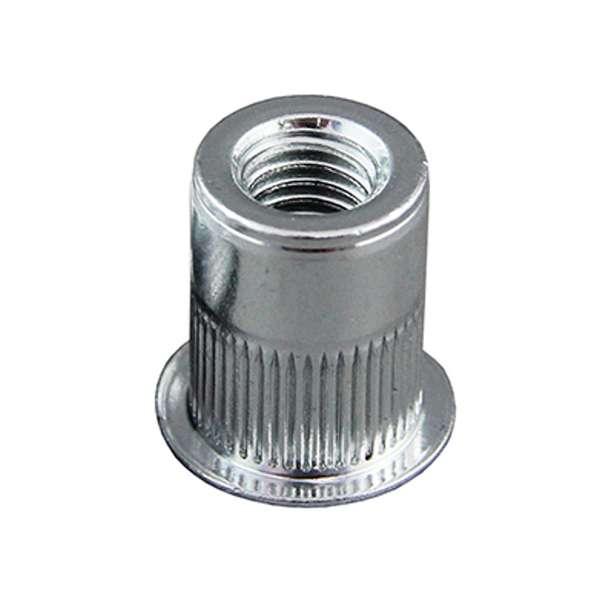 مهره پرچ مدل M10 لبه دار مجموعه 100 عددی