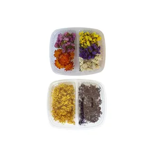 گل خشک مدل mixed 3 مجموعه دو عددی