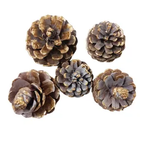 میوه تزئینی مدل پتینه کاج مجموعه 5 عددی