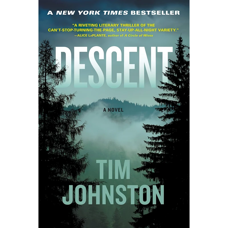 کتاب Descent اثر Tim Johnston انتشارات Algonquin Books