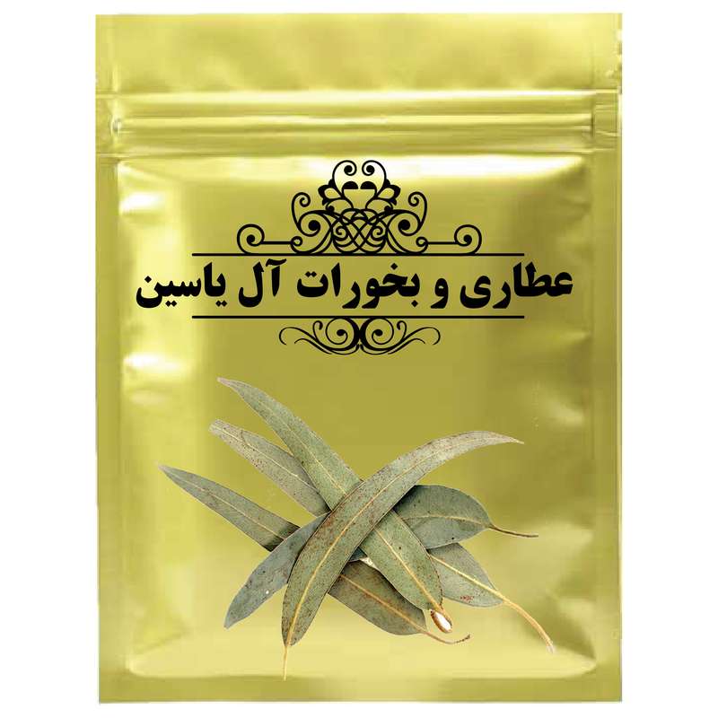 دمنوش اکالیپتوس - 1000 گرم