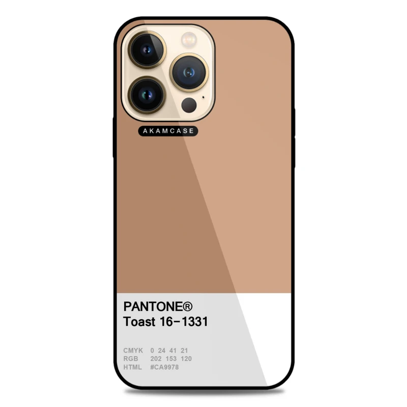 کاور آکام مدل AMC-WA13PRO-PANTONE-21 مناسب برای گوشی موبایل اپل iPhone 13 Pro