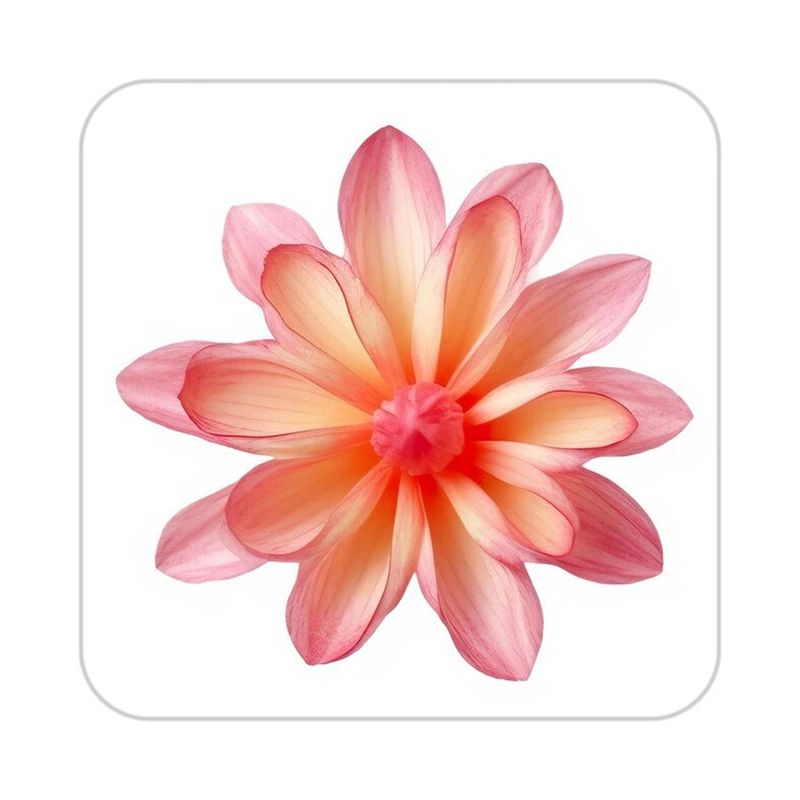 زیر لیوانی کاکتی طرح گل مدل mp17567