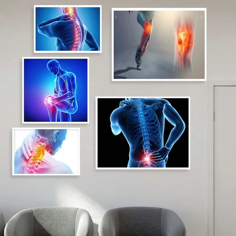 تابلو بکلیت طرح پزشکی آناتومی بدن مدل W-917 مجموعه 5 عددی