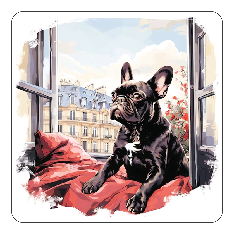 مگنت کاکتی طرح پاریس Paris مدل mp59915