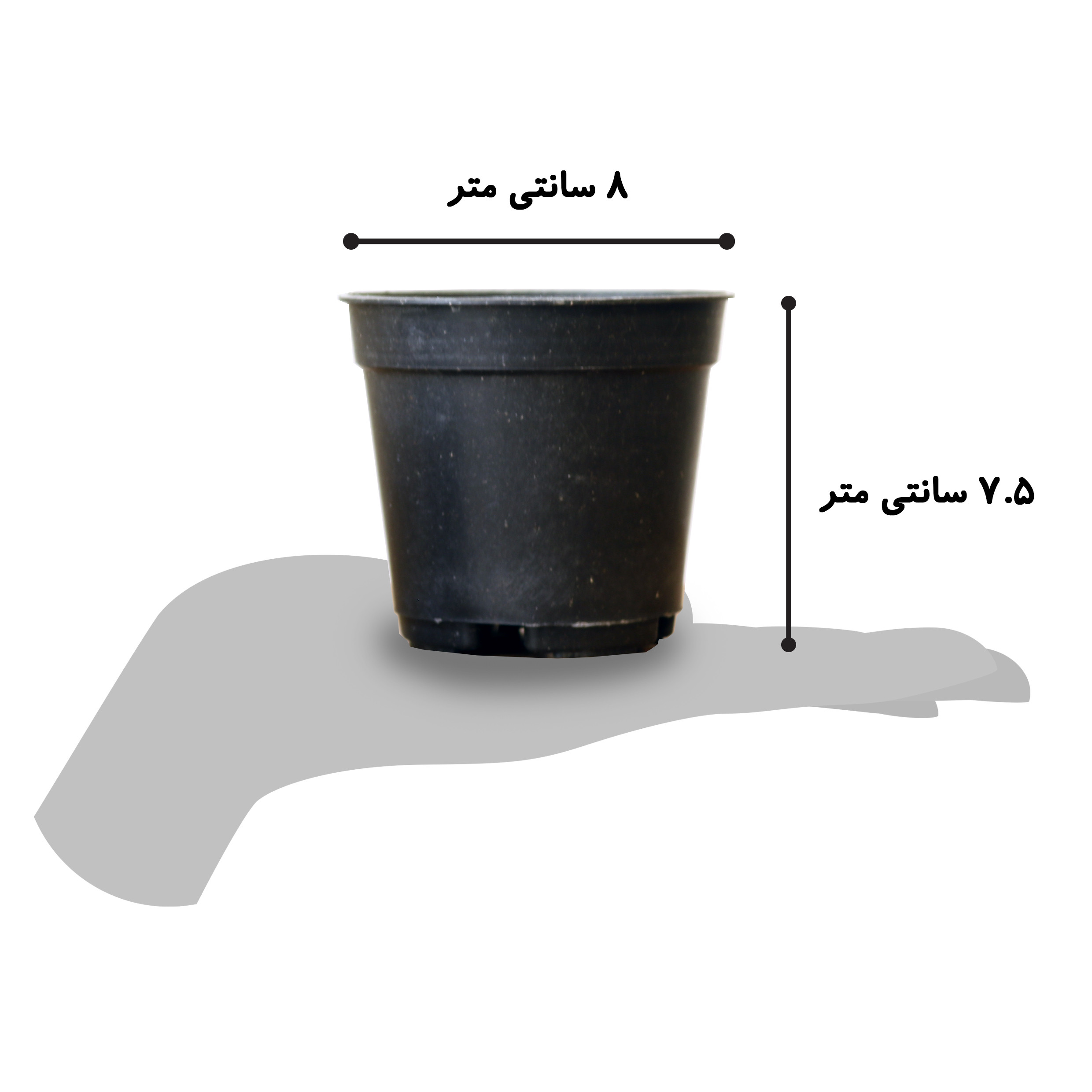 گیاه طبیعی کاکتوس و ساکولنت آیدین کاکتوس کد CB-050 مجموعه 6 عددی