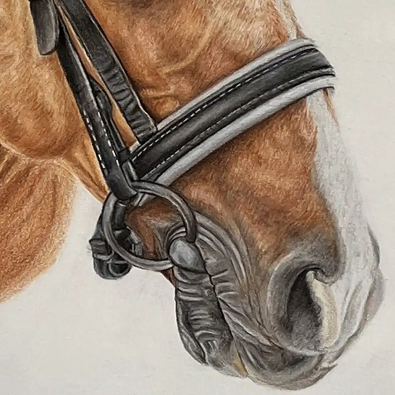 تابلو نقاشی مداد رنگی مدل اسب دلیر