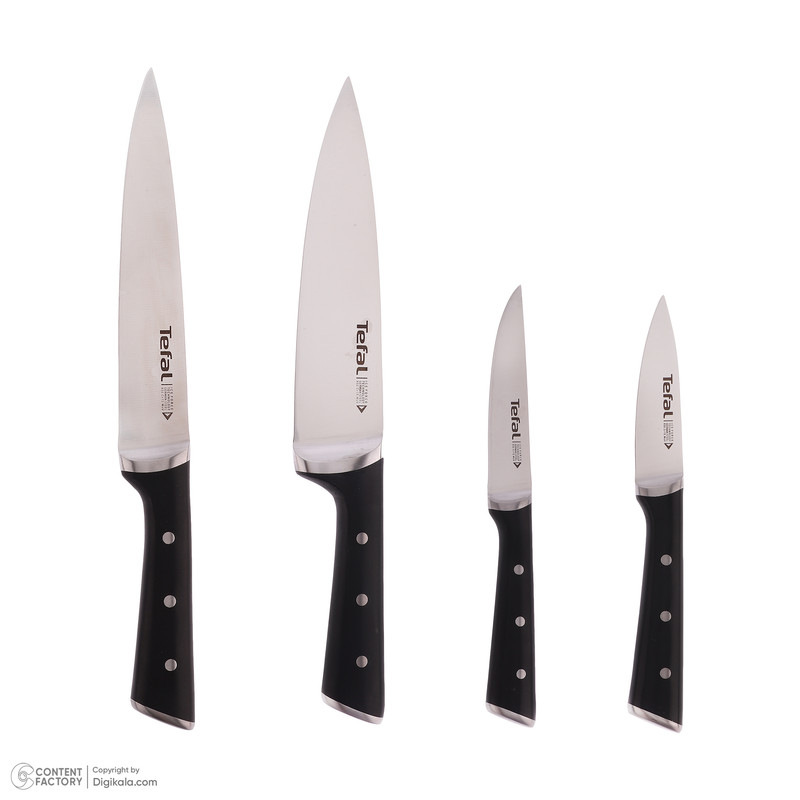 ست چاقو آشپزخانه 4 پارچه تفال مدل ice force