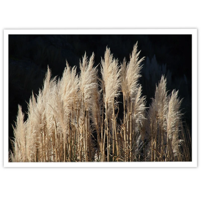 تابلو بکلیت طرح عکاسی طبیعت گل نی مدل W-10088