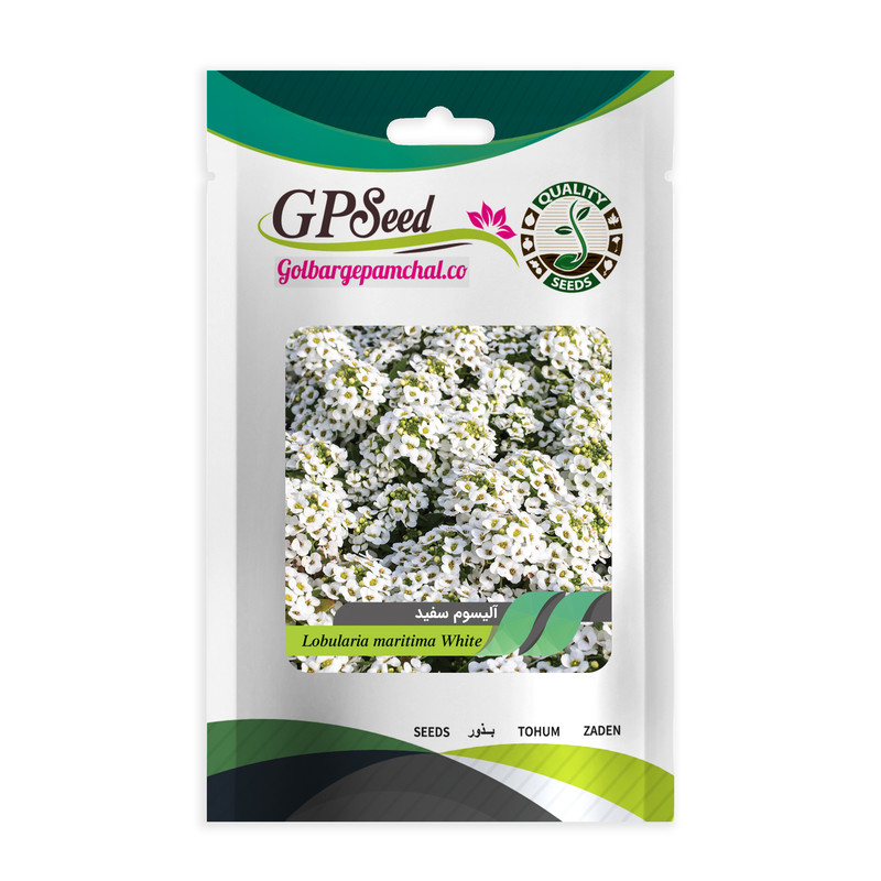 بذر گل آلیسوم سفید گلبرگ پامچال کد GPF-230