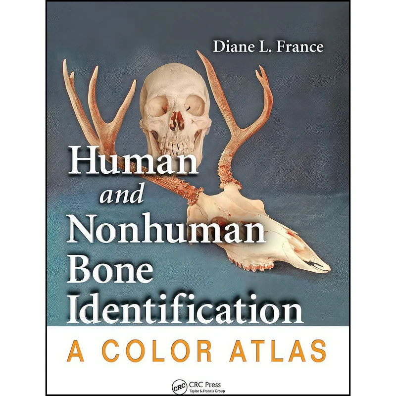 کتاب Human and Nonhuman Bone Identification اثر Diane L. France انتشارات CRC Press