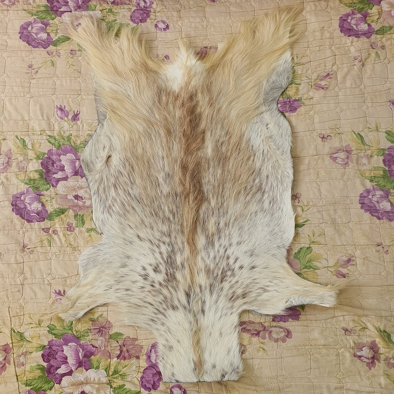 فرش پوست مدل Nixo 8142