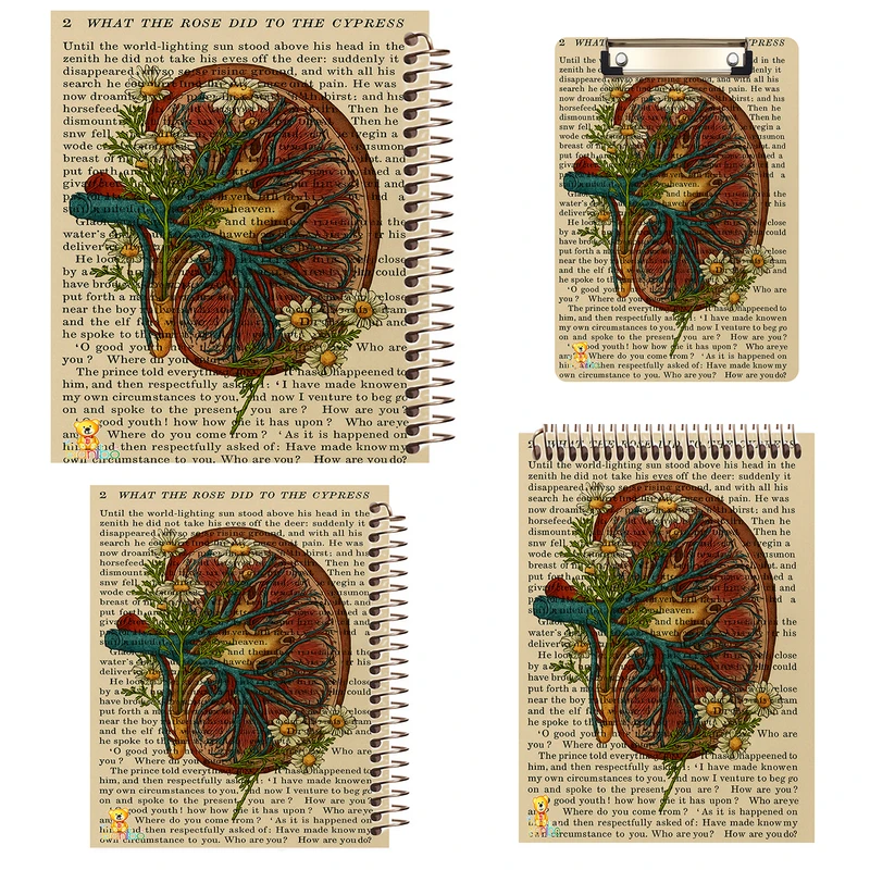 دفتر 100 برگ بانیبو مدل  پزشکی کد 2751 به همراه تخته شاسی بسته 4 عددی