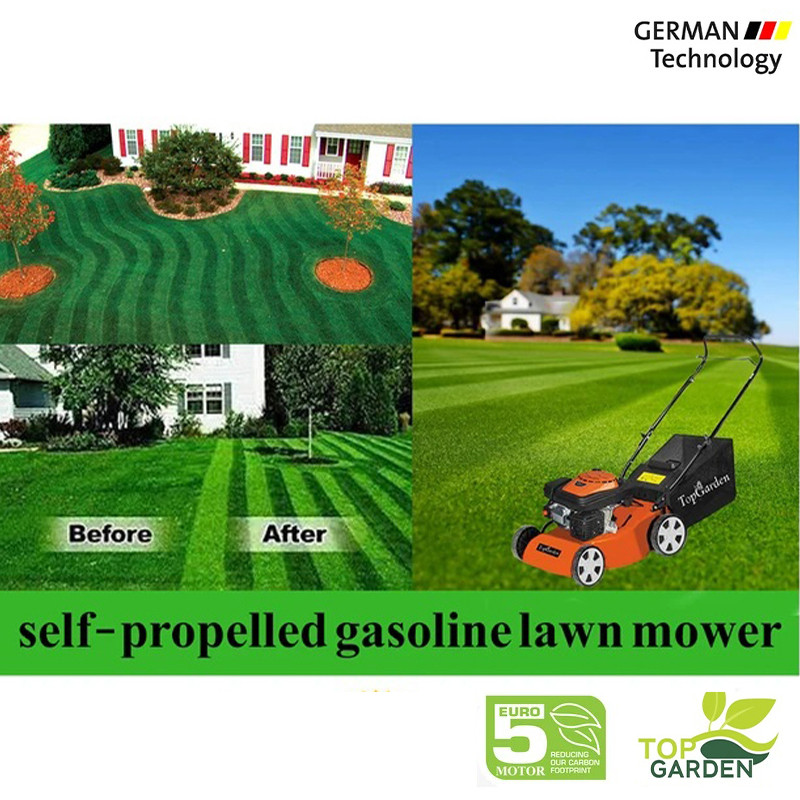 چمن‌زن بنزینی 2000 وات تاپ گاردن مدل فوق حرفه ای گیربکسی GLM 460-P