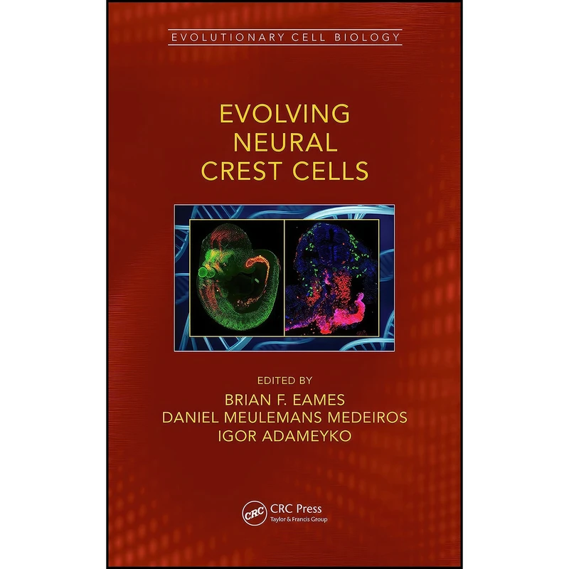 کتاب Evolving Neural Crest Cells  اثر جمعي از نويسندگان انتشارات CRC Press