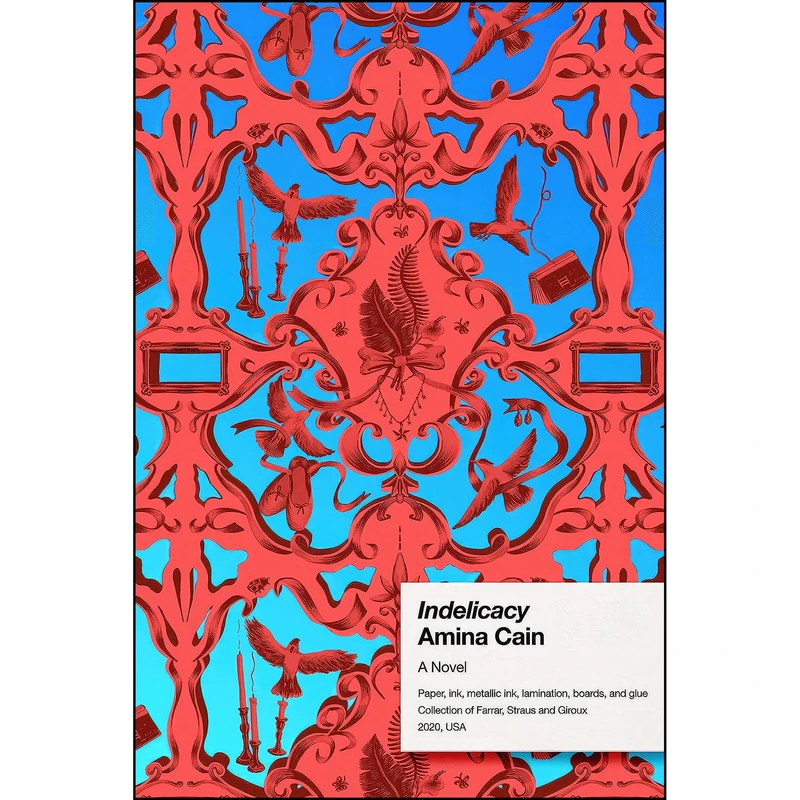 کتاب Indelicacy اثر Amina Cain انتشارات Farrar, Straus and Giroux