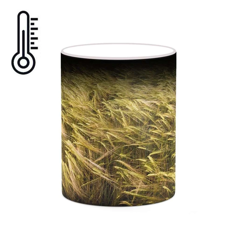 ماگ حرارتی کاکتی مدل منظره کد mgh20763