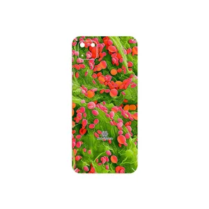 MAHOOT Atom Universe 3 Cover Sticker for Huawei Y5p