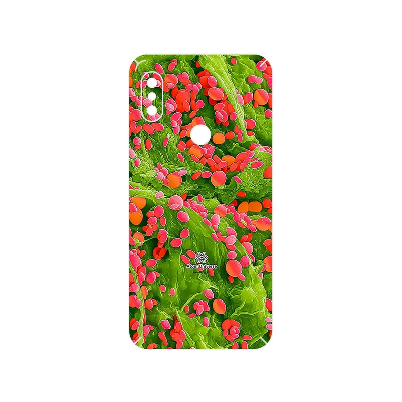 برچسب پوششی ماهوت مدل Atom Universe 3 مناسب برای گوشی موبایل شیائومی Redmi Note 6 Pro