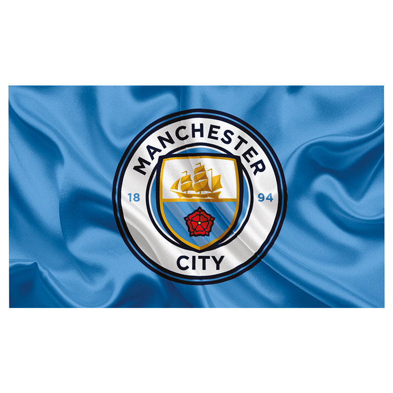 برچسب کنسول بازی پلی استیشن 2 توییجین وموییجین Manchester City F7