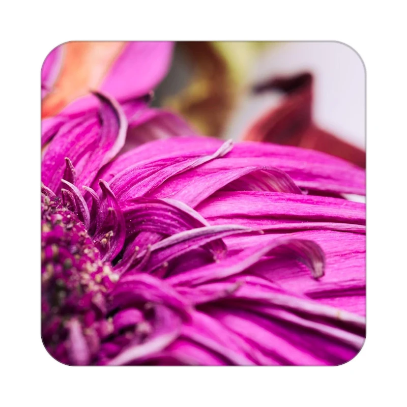 زیر لیوانی کاکتی طرح میوه مدل mp21577