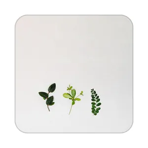 زیر لیوانی کاکتی طرح گل مدل mp19158