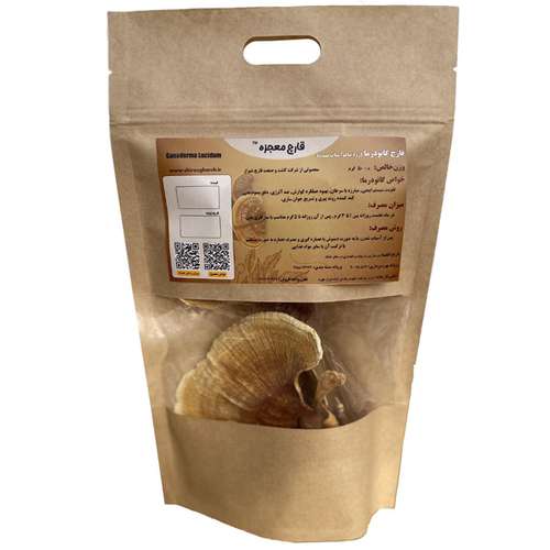 قارچ گانودرما قارچ معجزه - 50 گرم