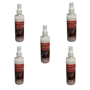 اسپری براق کننده کفش مدل نانو مجموعه 5 عددی 