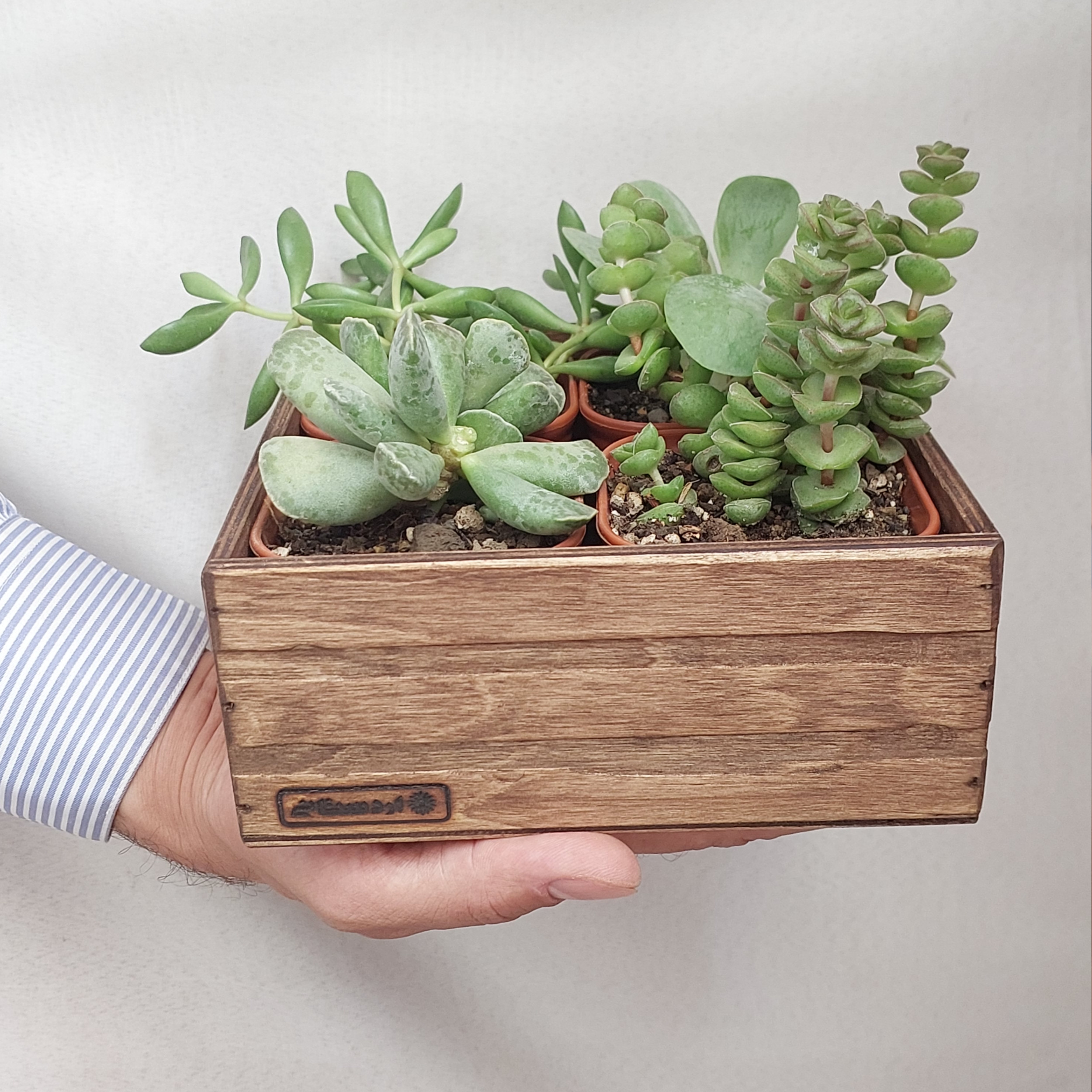 گلدان مدل 44